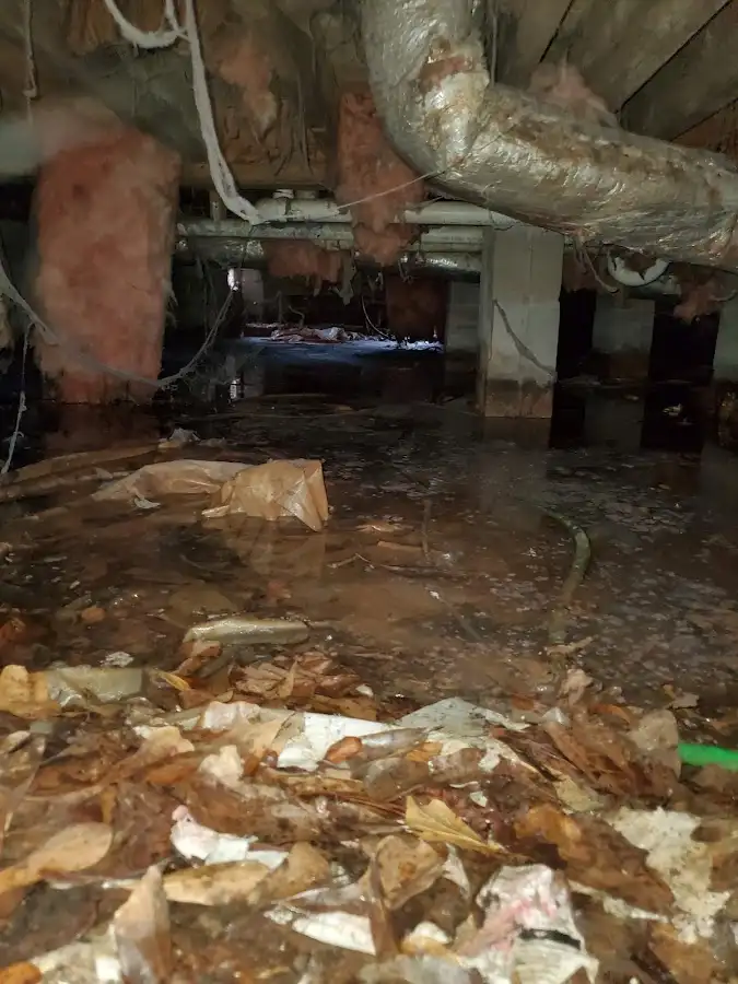 Crawl space flood assessment for Commercial Water Damage Restoration in Larchmont